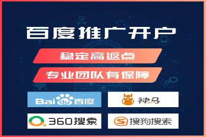 某电商平台的SEM广告投放策略及效果评估